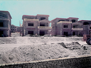فينوس