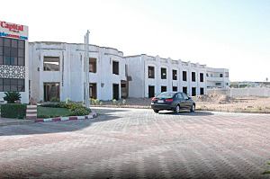 shark land hotel